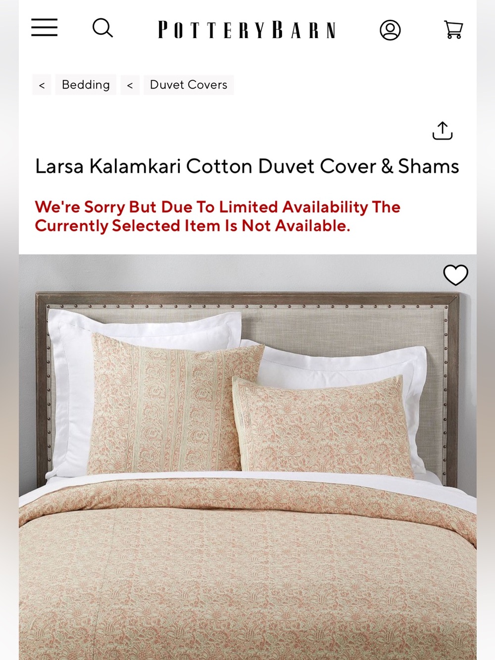 Pottery Barn Larsa Kalamkari King Duvet Cover & Shams — Blush and Cream